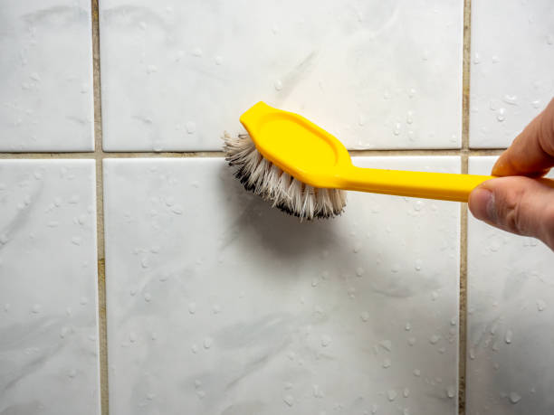 Best Fast Mold Removal  in Howland Center, OH